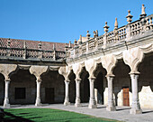 Patio of Minor Schools. Salamanca. Spain.
