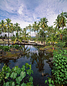 Honaunau National Historic Park. Big Island. Hawai. USA