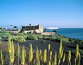 Castle of San José, Arrecife. Lanzarote, Canary Islands. Spain