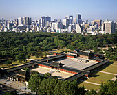 Changgyeonggung Palace and Downtown. Seoul. South Korea