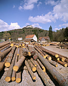 Timber, Bamberg district, Bavaria, Germany