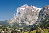 Grindelwald District. Switzerland.