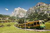 Grindelwald District. Switzerland.