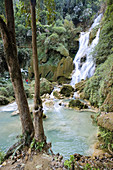 Waterfall near the City. Luang Prabang City (W.H.). Laos. January 2007.