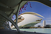 The City of Arts and Science built by Calatrava. Valencia. Spain. May 2007.