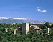 Alhambra and Sierra Nevada mountains in background. Granada. Spain