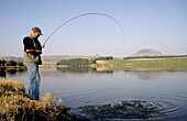 Fly fishing for trout, angler fighting large rainbow trout, KwaZulu-Natal, South Africa
