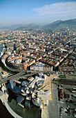 Guggenheim Museum. Bilbao. Vizcaya. Euskadi. Spain.