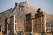Arabic castle (in background). Greco-Roman city. Palmyra. Syria