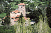 Mozarabic church (Xth century). Santa Maria de Lebeña. Liébana valley. Picos de Europa. Cantabria. Spain.