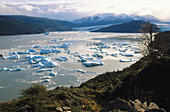 Grey Lake. Torres del Paine National Park. Chile.