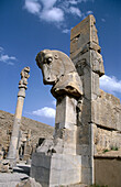 Hundred columns room. Horse s head. Persepolis. Iran.