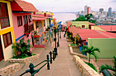 Houses. Cerro Santa Ana. Guayaquil. Guayas province. Ecuador