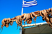 Octopus being dried in the sun. Naoussa village on Paros Island. Greece