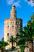 Torre del oro. Sevilla. Andalusia. Spain