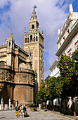 Giralda and Cathedral. Plaza Virgen de los Reyes. Sevilla. Andalusia. Spain