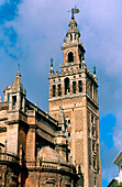 Giralda tower and Cathedral. Seville. Andalusia. Spain