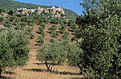 Hornos de Segura. Sierra de Cazorla, Segura y Las Villas Natural Park. Jaén province. Spain