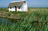 Traditional hut in La Tancada. Delta del Ebro Natural Park. Tarragona. Spain.