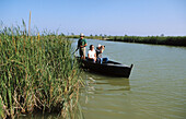 Pole boat. Delta del Ebro Natural Park. Tarragona. Spain.