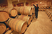 David Moreno wine cellar. Badarán. La Rioja. Spain