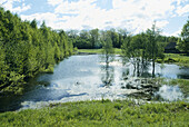 Nemuno kilpos regional park area. Lithuania