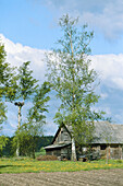 Traditional farm. Nemuno kilpos regional park area. Lithuania