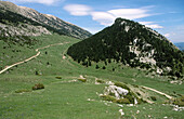 Track from El Collel to Coll de la Bauma, on the area of Comabona mountain. Sierra del Cadí. Cadí-Moixeró Natural Park. La Cerdanya. Girona Province. Catalonia. Spain