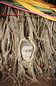 Buddha head in Wat Phra Mahathat temple. Ayuthaya Historical Park. Thailand.