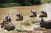 Tourists on elephants. Ma Ping elephant camp. Chiang Mai province. Thailand.
