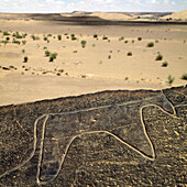 Prehistoric rock engraving (6000 BC). Taghit. Sahara desert. Algeria.