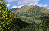 Vall Ferrera. Pallars Sobirà. Lleida province. Catalunya. Pyrenees Mountains. Spain