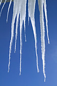 Icicles. Winter. Finland.
