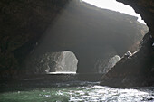 Islas Ballestas. Reserva Nacional de Paracas. Peru.