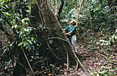 Guide of the Smithsonian Tropical Research Institute (STRI) and tree (Ceiba sp.). Barro Colorado island, Panama