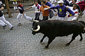 Encierro running of the bulls, San Fermin Festival. Pamplona. Navarre, Spain