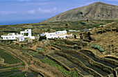 Old crater. Tinajo. Mancha Blanca. Lanzarote. Canary islands.