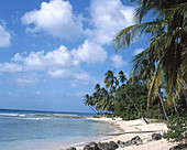 Gibbs west coast beach. Mullins Bay. Barbados. West Indies
