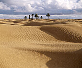 Desert. Douz. Tunisia.