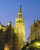Giralda tower. Sevilla. Andalusia, Spain