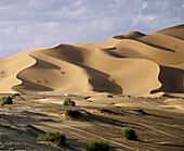 Dunes. Grand Erg Occidental. Sahara. Algeria.