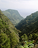 La Gomera Island. Canary Islands, Spain