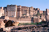 Mehrangarh Fort. Jodhpur. India
