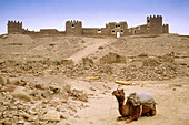 Khaba Fort near Sam Desert in Jaisalmer. Rajasthan. India