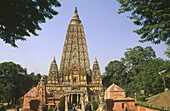 Mahabodhi Temple in Bodhgaya, the sacred site of the Buddha s enlightenment. Bihar. India