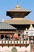 Pashupatinath Temple. Kathmandu. Nepal