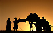 Sunset at desert. Rajasthan. India.