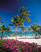 Saint Thomas. U.S. Virgin Islands