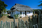 Traditional slave quarter. Kas di Pal i Maishi. Curacao. Caribbean