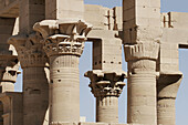 Columns in Philae Temple. A temple for Isis. Aswan. Egypt.